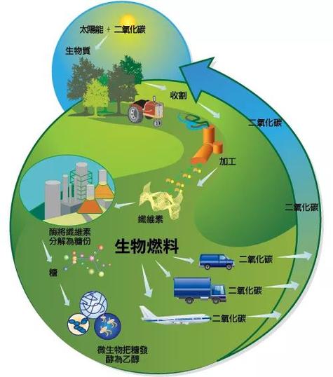 适度发展能源作物,加强对生物质能技术,装备和产品创新的政策引导